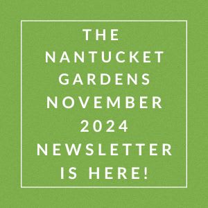 a green background with the words the nameless gardens november 2224