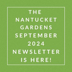 a green background with the words the nameless gardens september 2224