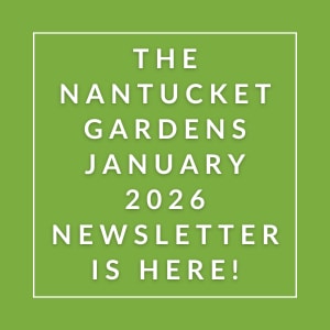 The Nantucket Gardens January 2026 Newsletter is here.