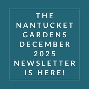 The cover of the Nantucket Gardens December 2025 newsletter.