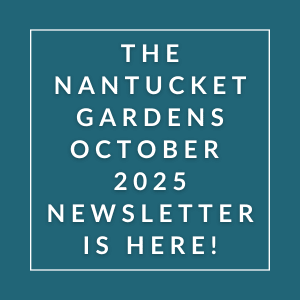 The cover of the Nantucket Gardens October 2025 newsletter.