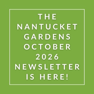 The Nantucket Gardens October 2026 Newsletter is here!