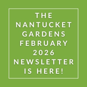 The Nantucket Gardens February 2026 Newsletter is here.