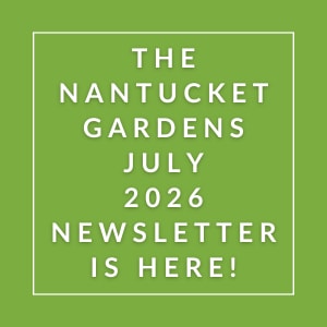 The Nantucket Gardens July 2026 Newsletter is here.