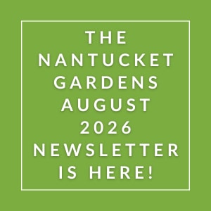 The Nantucket Gardens August 2026 Newsletter is here.