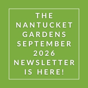 The Nantucket Gardens September 2026 Newsletter is here!