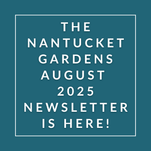 The cover of the Nantucket Gardens July 2025 newsletter.