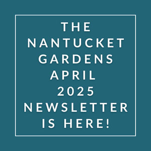 The cover of the Nantucket Gardens April 2025 newsletter.