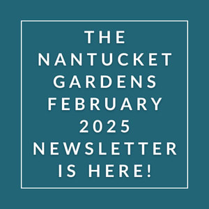 The Nantucket Gardens February 2025 Newsletter is here.