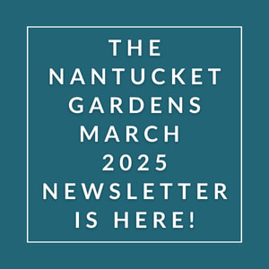 The Nantucket Gardens March 2025 newsletter is available.