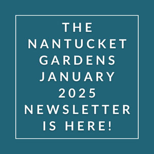 The Nantucket Gardens January 2025 Newsletter is here.