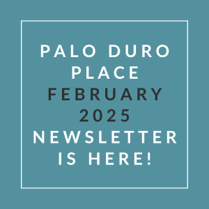 The image is a cover of the Palo Duro Place newsletter for February 2025.