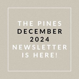 The image announces the availability of the Pines December 2024 newsletter.