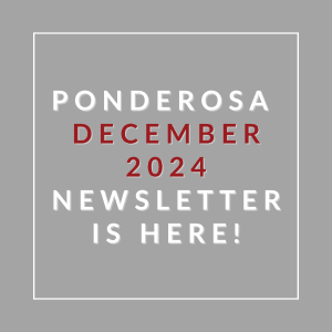 The image announces the availability of the Ponderosa December 2024 newsletter.