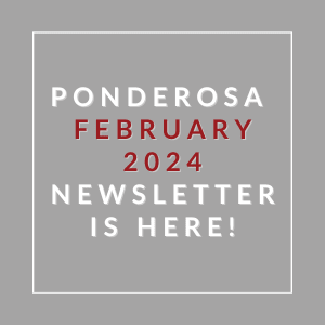 a gray background with white and red text and the word ponderosa february