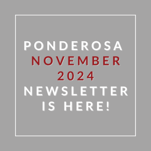a gray background with white and red text and the word ponderosa november