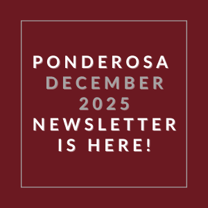 The image announces the availability of the Ponderosa December 2025 newsletter.