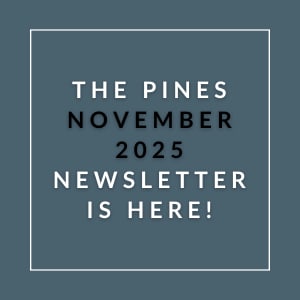 The image announces the release of "The Pines November 2025 Newsletter".