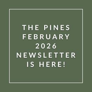 The image announces the availability of the Pines February 2026 newsletter.