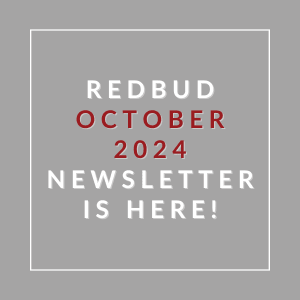 a gray background with white and red text and the words reddit october 2024 newsletter