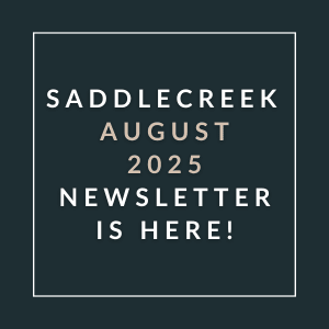 a gray background with white text and the words sabidere october 2024 newsletter