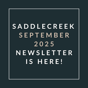a green background with white text and the words sabidere december 2024 newsletter