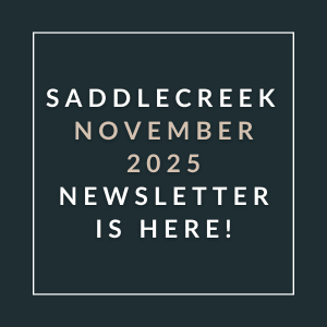 The image announces the availability of the Saddlecreek November 2025 newsletter.