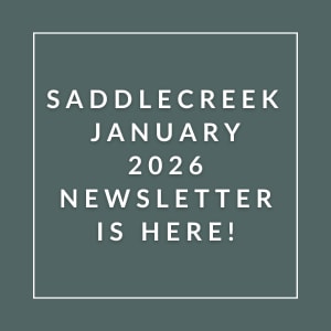 The image announces the availability of the Saddlecreek January 2026 newsletter.
