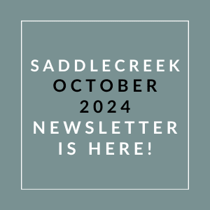 a gray background with white text and the words sabidere october 2024 newsletter