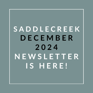 a green background with white text and the words sabidere december 2024 newsletter
