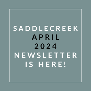 a green background with white text and the words sabidere 2021 newsletter is here