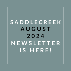 a blue background with white text and the words sabidere august 2024 newsletter
