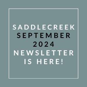 a navy blue background with white text and the words sabidere september