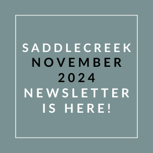 a gray background with white text and the words sabidere october 2024 newsletter