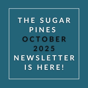 The image announces the availability of the Sugar Pines October 2025 newsletter.