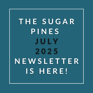 The image announces the availability of the Sugar Pines July 2025 newsletter.