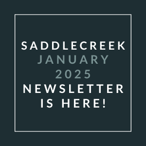 A newsletter for Saddlecreek in January 2025 is available.