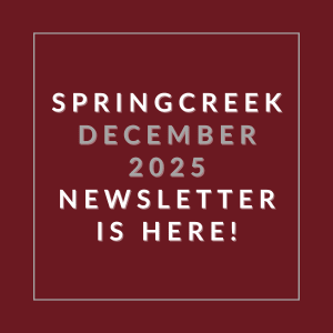 The image announces the availability of the Springcreek December 2025 newsletter.