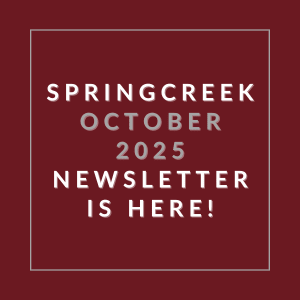 The image announces the availability of the Springcreek October 2025 newsletter.