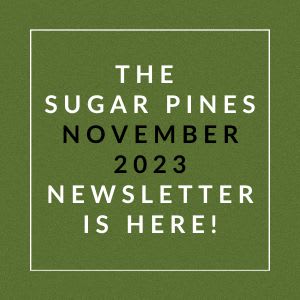 the sugar pines december 23rd newsletter is here green