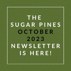 the subway pines november 2002 newsletter is here green