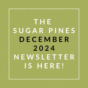 The image announces the availability of The Sugar Pines December 2024 Newsletter.