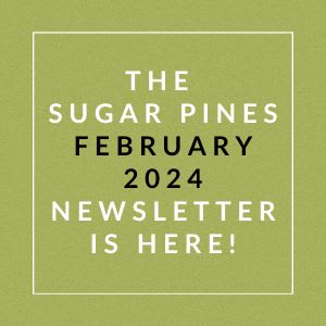 the subway pines february 2024 newsletter is here