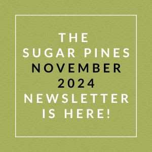 the subway pines november 2024 newsletter is here