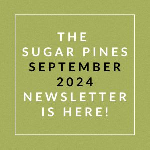 the subway pines september 2024 newsletter is here graphic