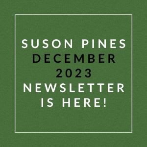a green field with the words suson pines december 2002 newsletter is here