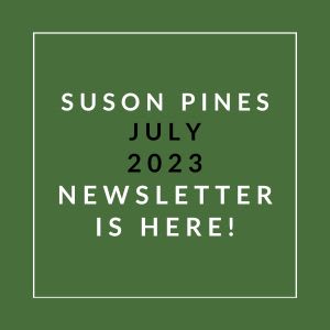 a sign that says suson pines july 23 newspaper is here