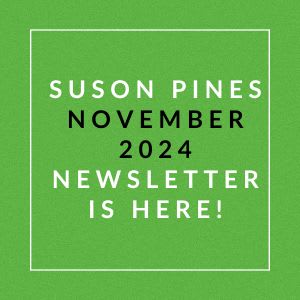 a green background with the words pines november 2024 newsletter is here