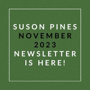 a green field with the words suson pines november 2223 newspaper
