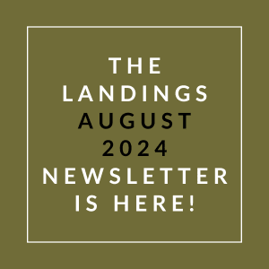a vector illustration of a green background with the words the rankings august 2024 newsletter